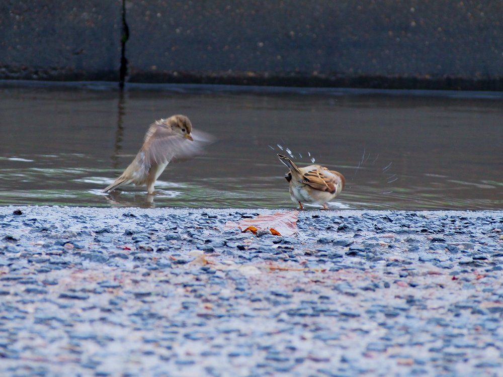 Фотография автора Валерий