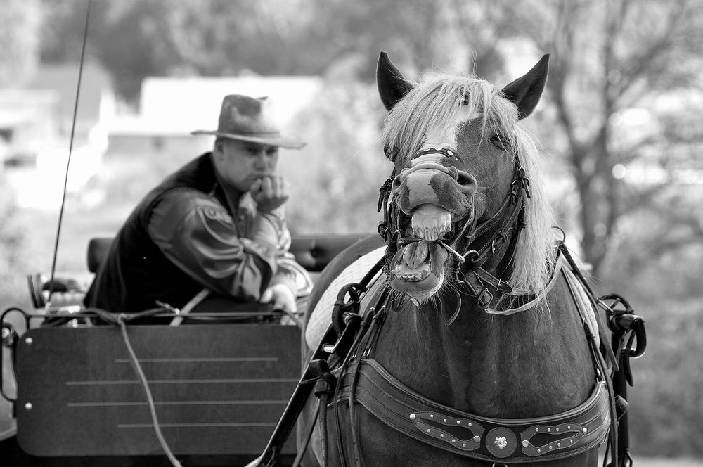 Холерик и Меланхолик