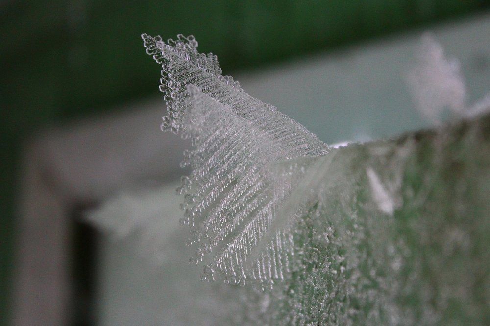Unusual frost