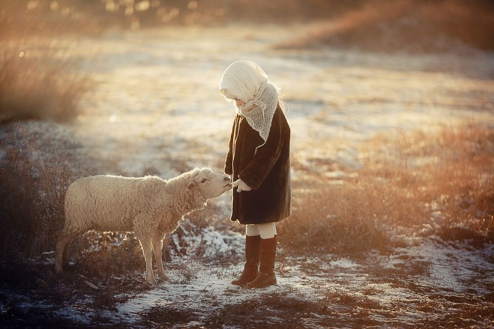 первое знакомство