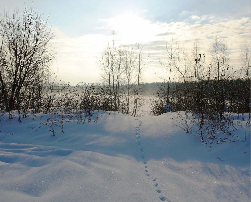 Январский полдень