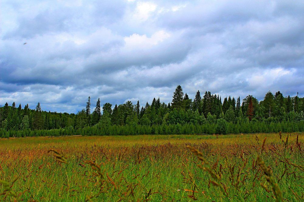 Деревня дождь