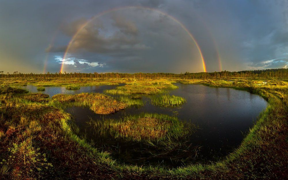Радуга над болотом, или обрамлённые зеркала.
