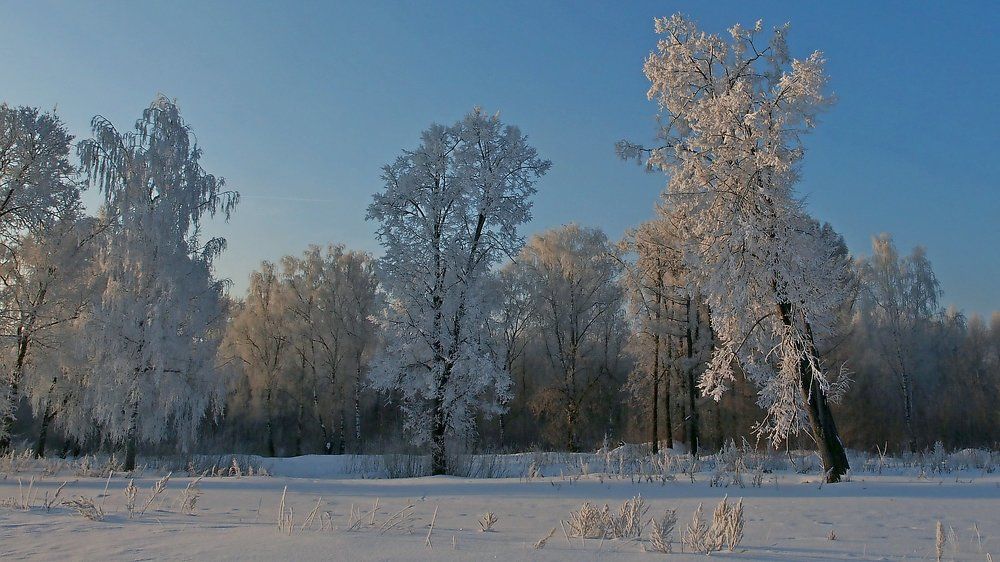 Photograph by Мирон Петаев