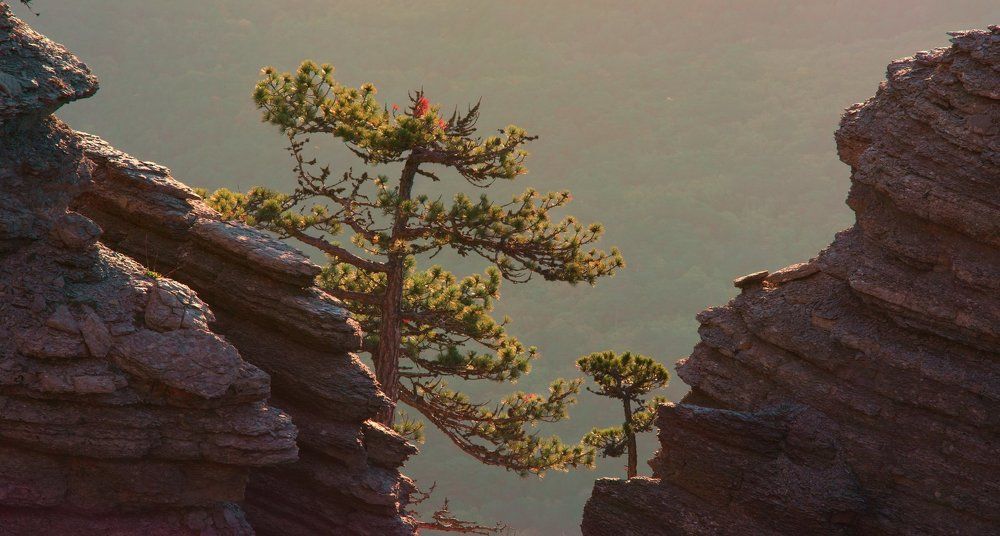 Король горы.