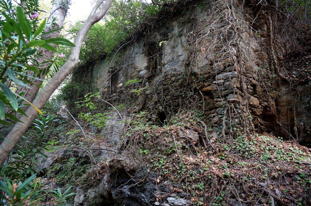 Из глубины веков