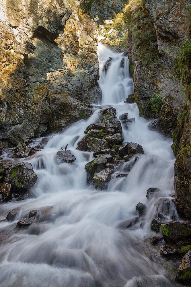 вдп. Бельтертуёк