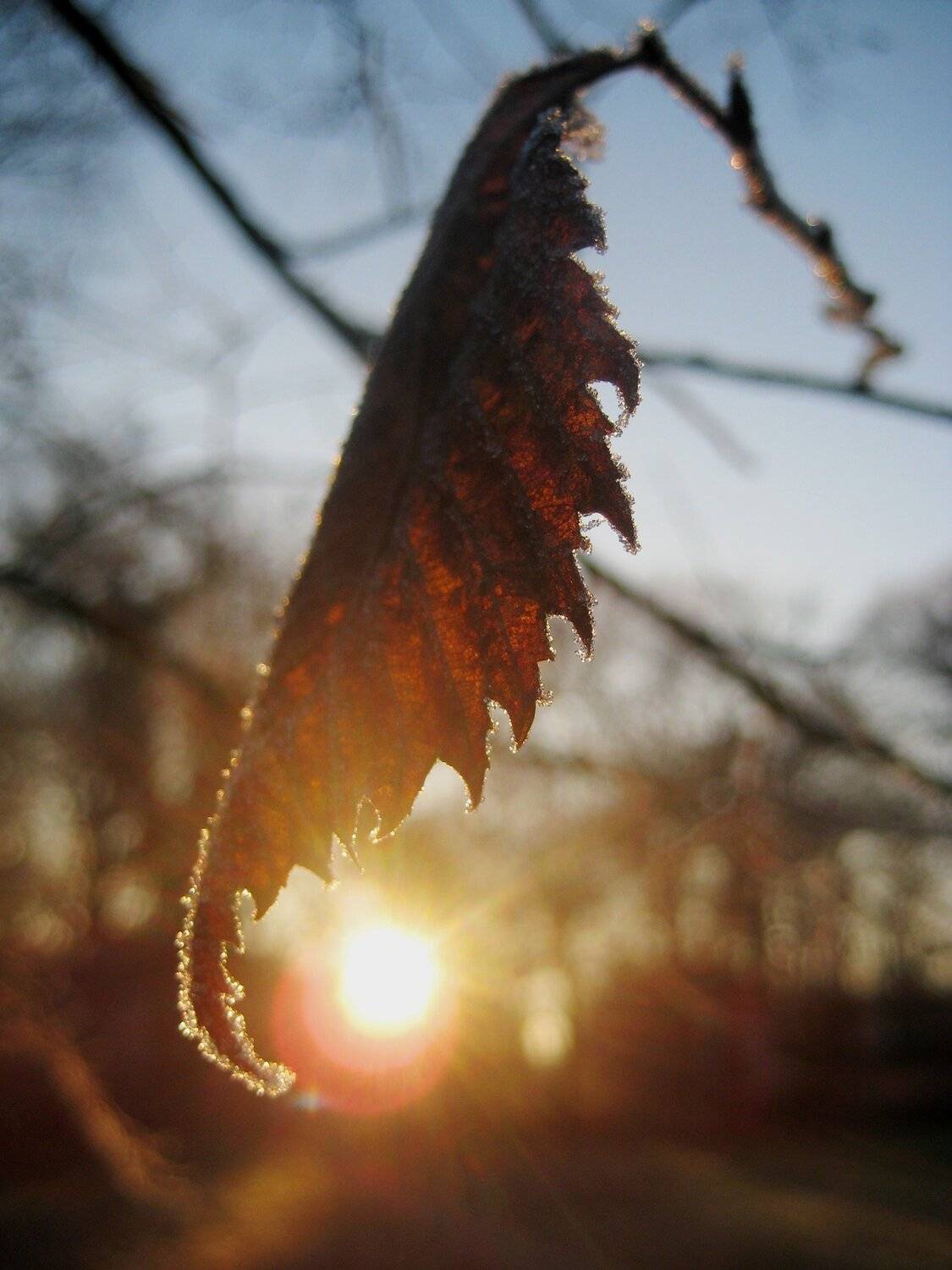 The heat of the solar rays in crystals natural crystal