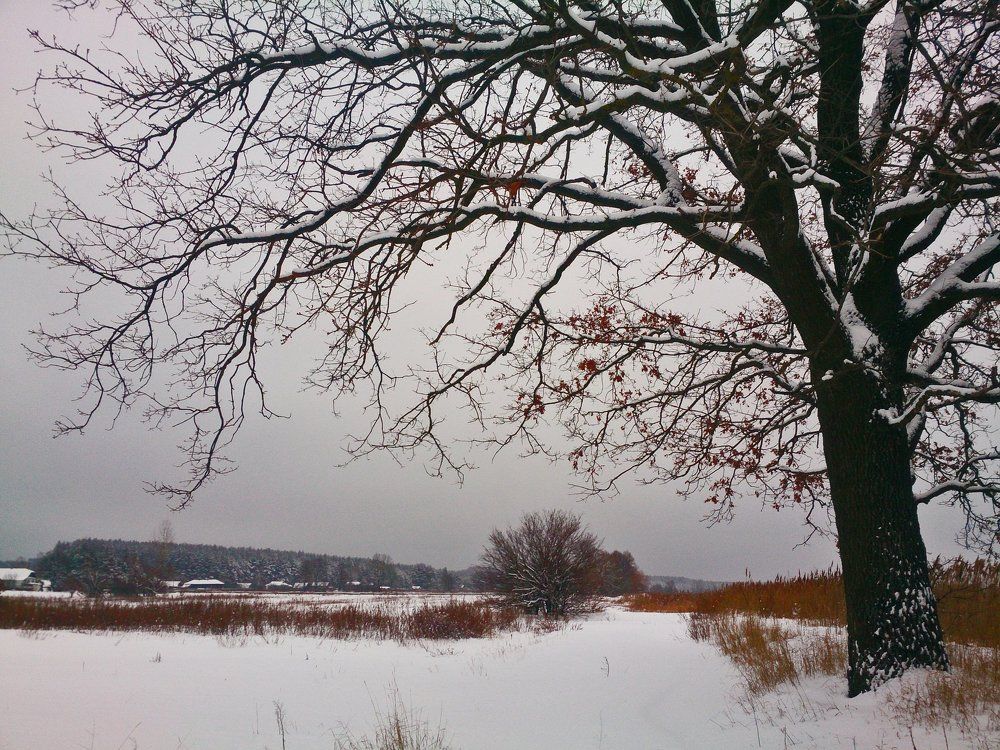 Strange Winter Evening / Зимний вечер вдалеке от дома.