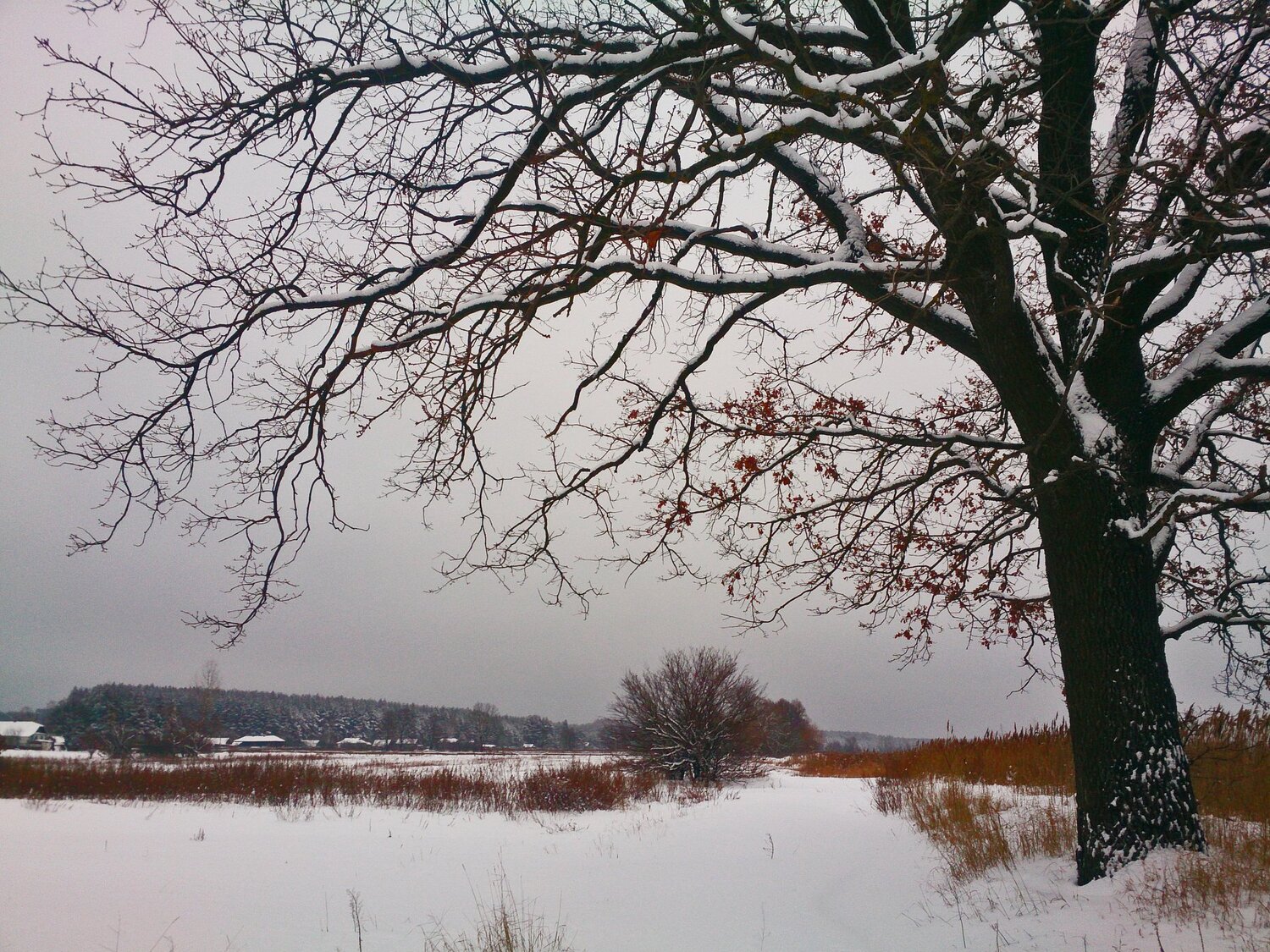 Strange Winter Evening / Зимний вечер вдалеке от дома. Strange Winter Evening / Зимний вечер вдалеке от дома.