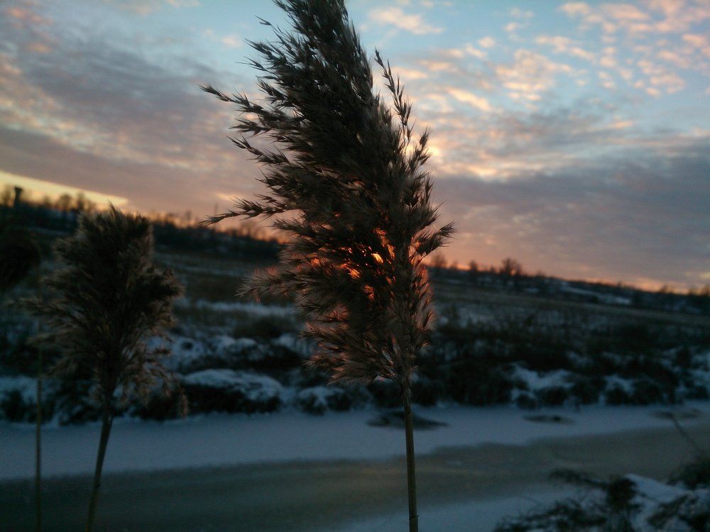 Winter Sunrise at the River/ Зимний рассвет на реке.
