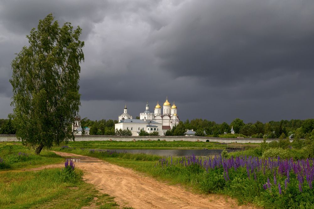 Перед грозой