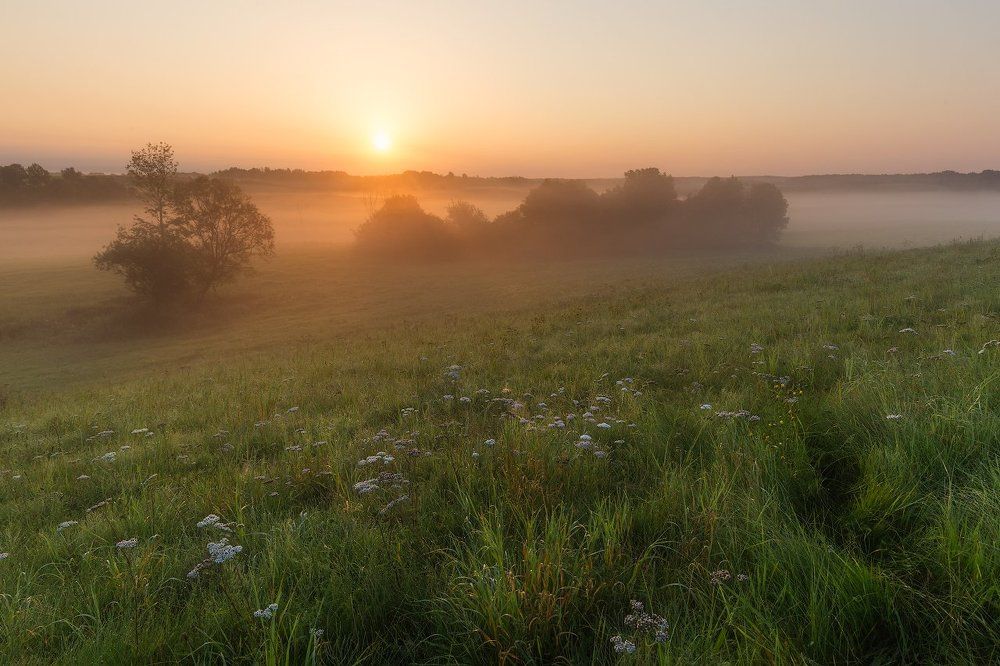 Холодное утро уходящего лета.