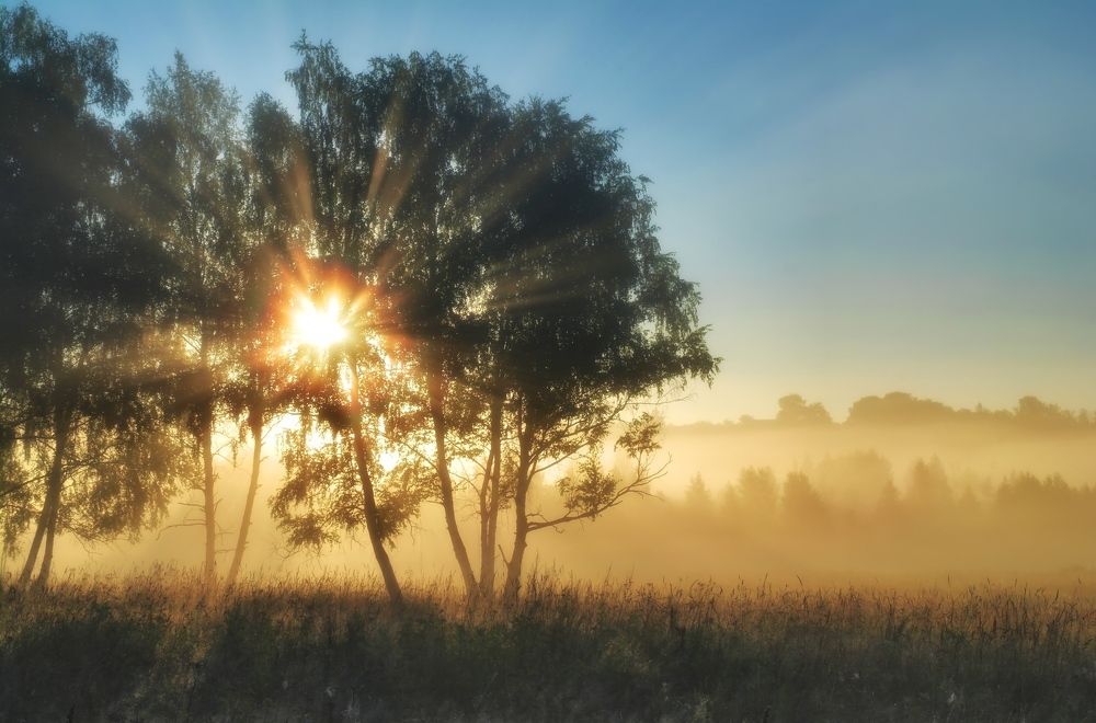 Свежесть утра