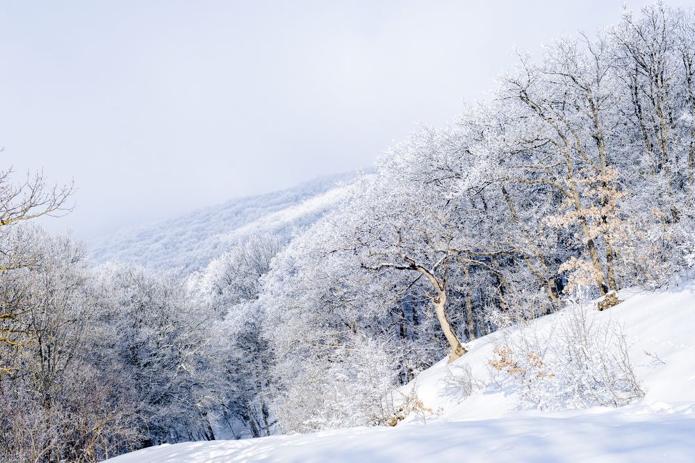 Зимняя сказка