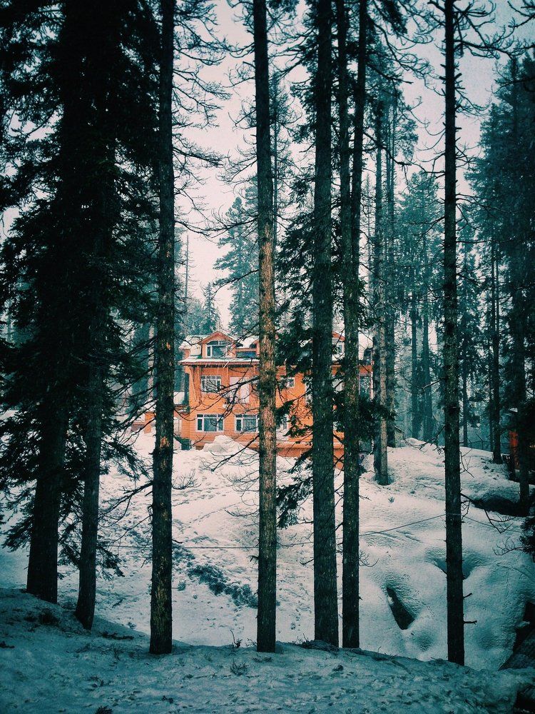 Incredible Gulmarg!!!