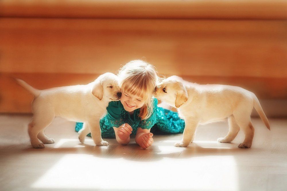 Двойное счастье