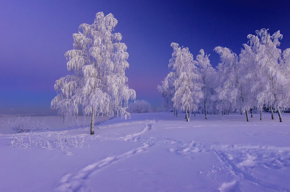 Настроение - январь