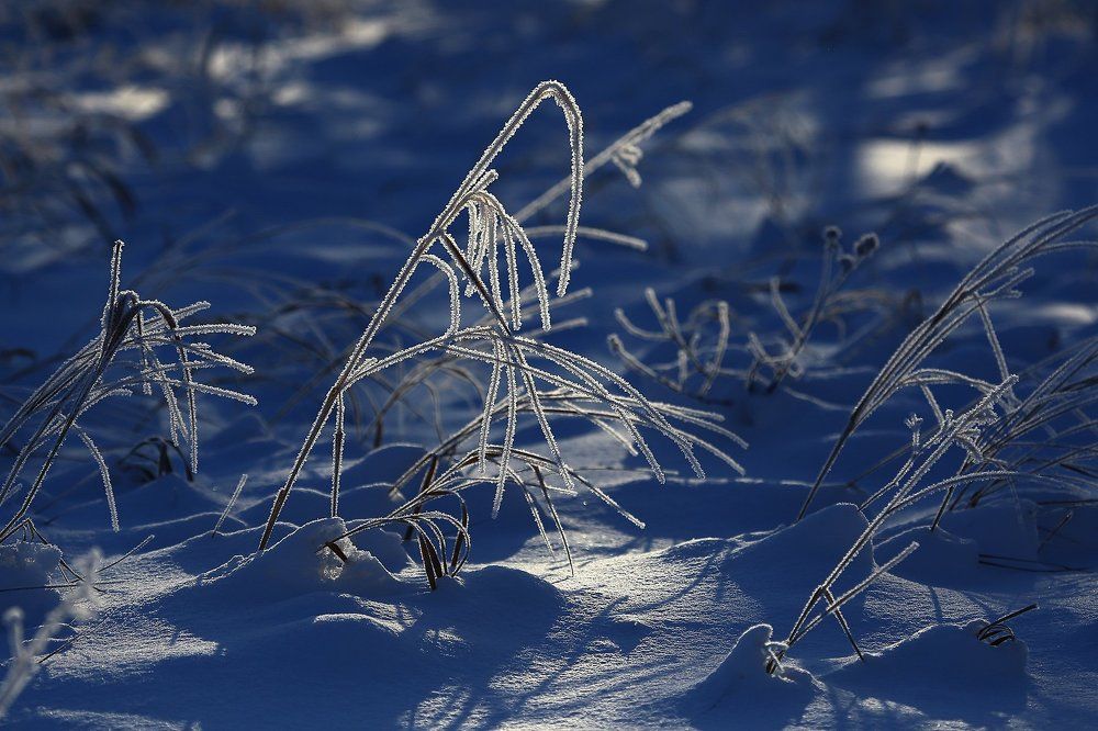 Зимнее утро.