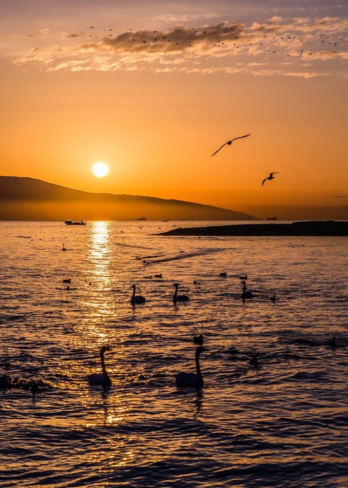 Sunrise at December morning