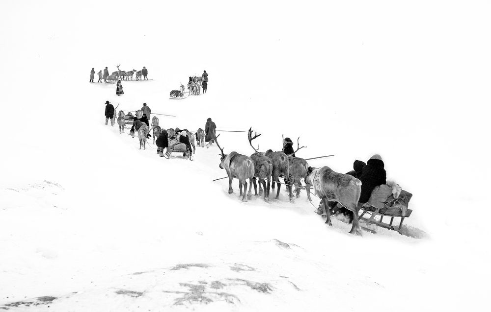 Белое безмолвие.