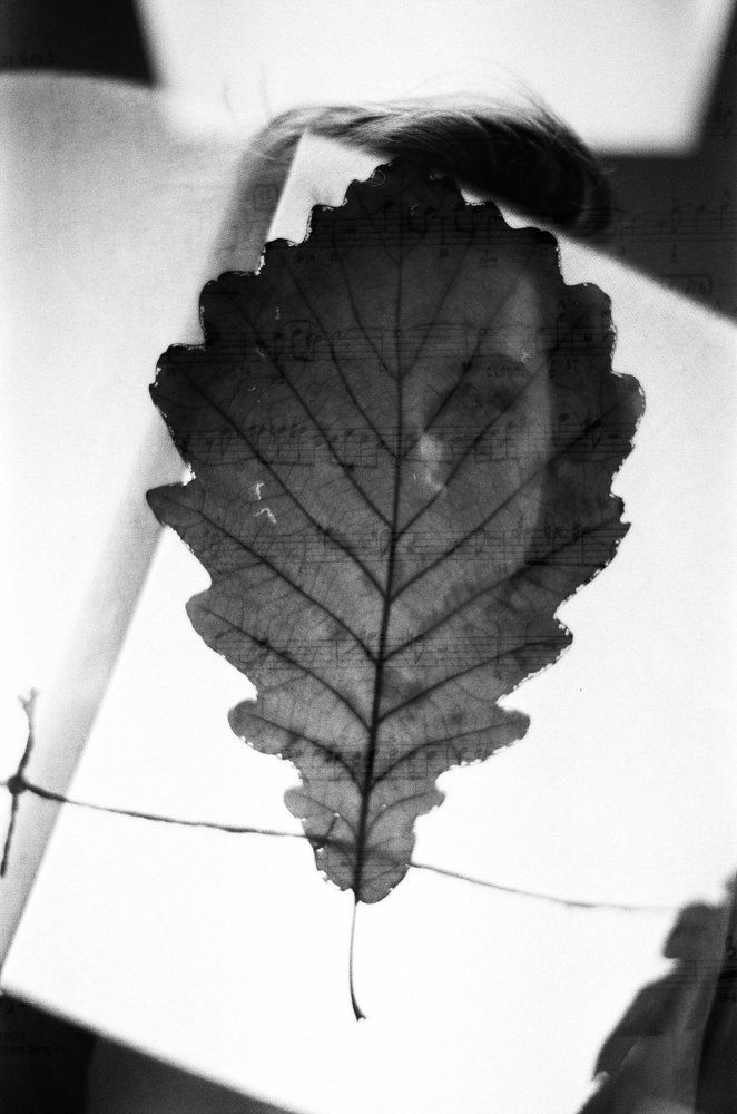 Музыка осени