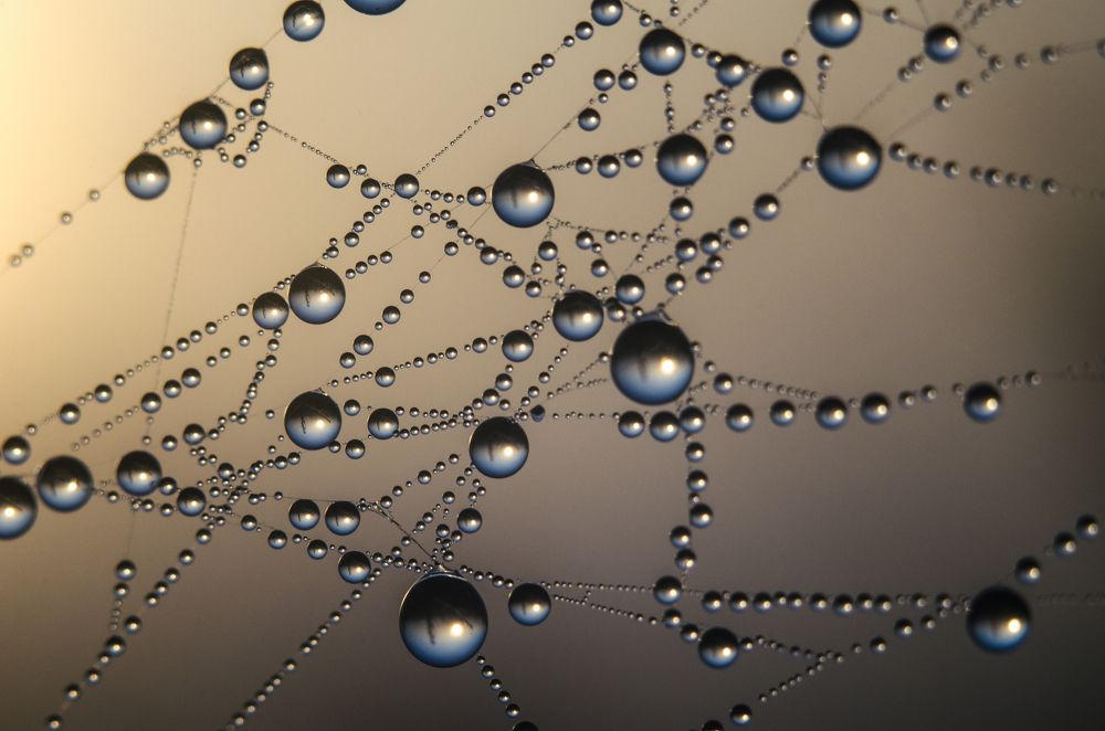 Сколько мы не видим