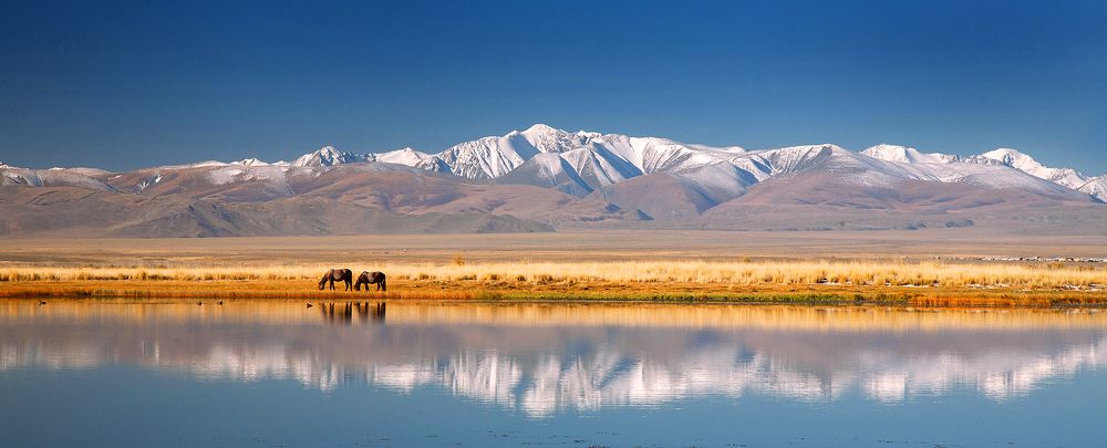 Осенняя идиллия