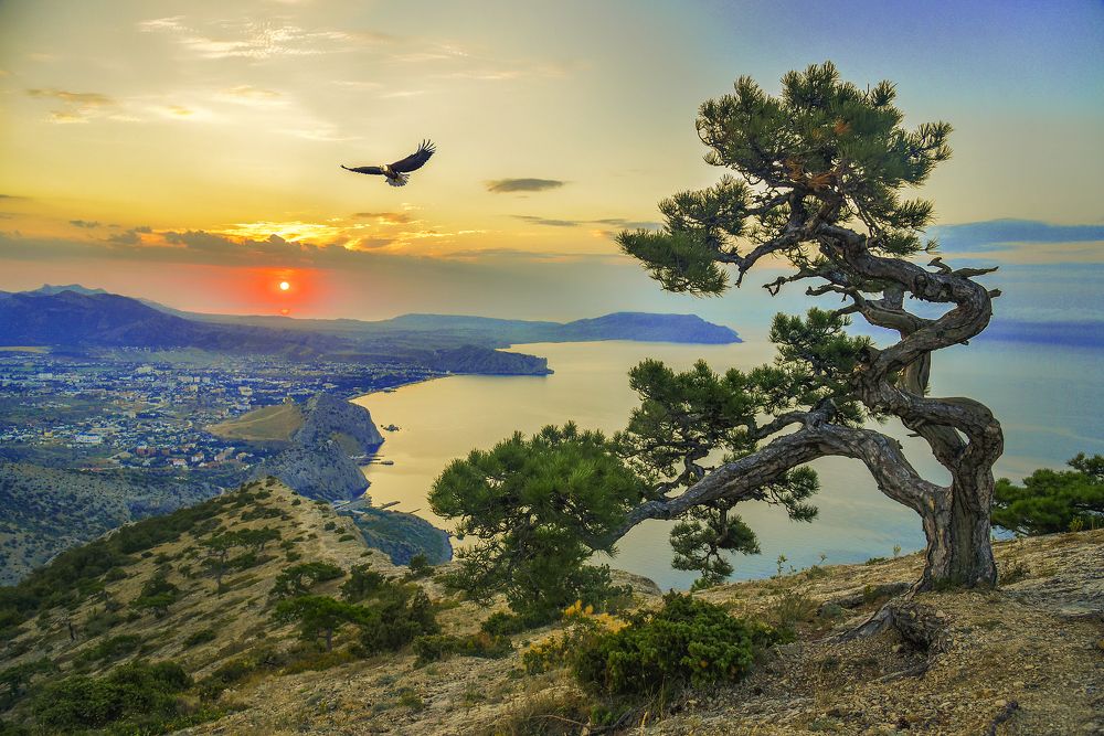 Рассвет в Крыму