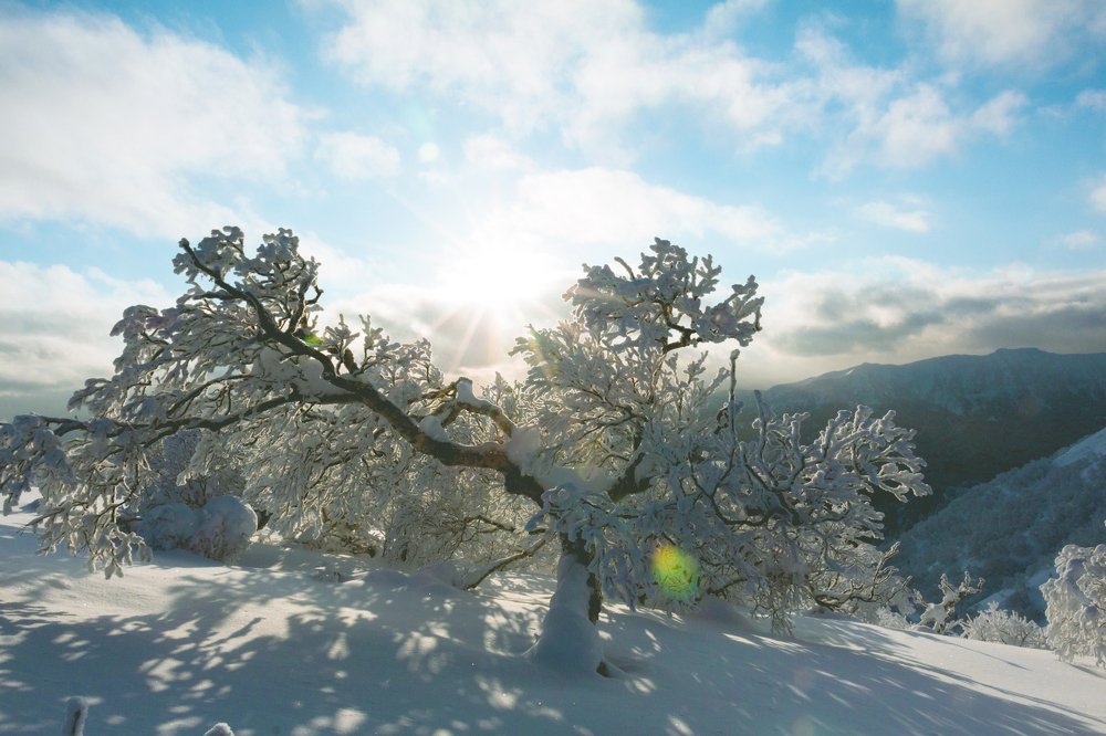 Зимняя сказка