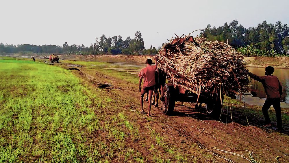 Photograph by Md Abu Sayeed Mondal