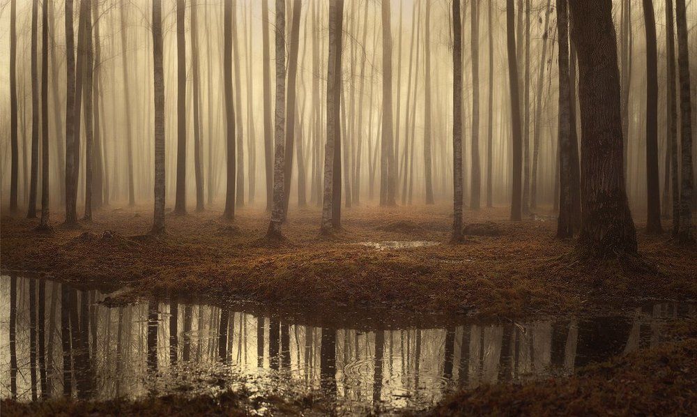 Одним чудесным утром