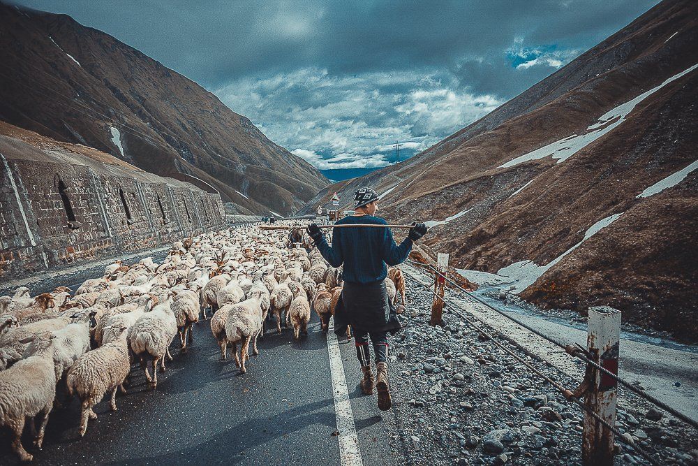 Перегон. Грузия.