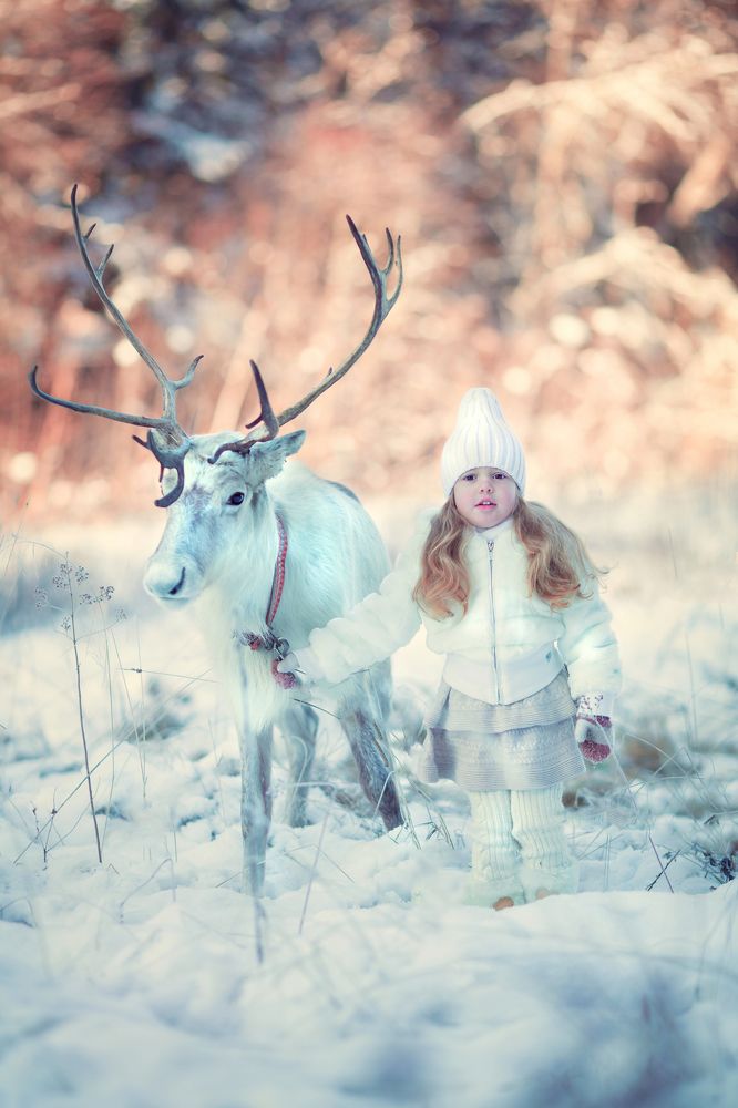 Снежный друг