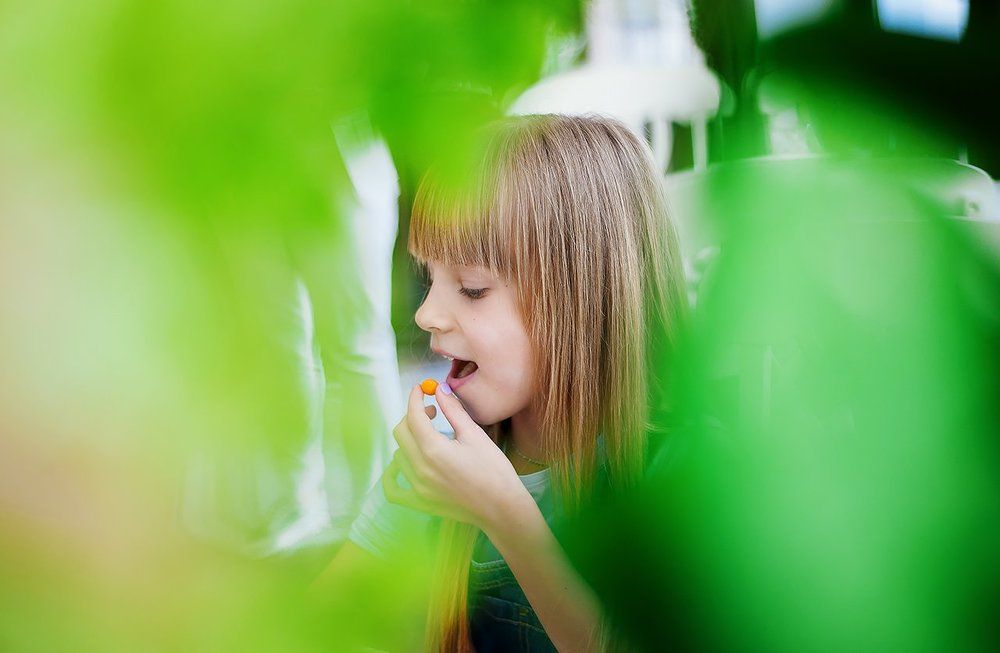 Photograph by Проскурин Дмитрий