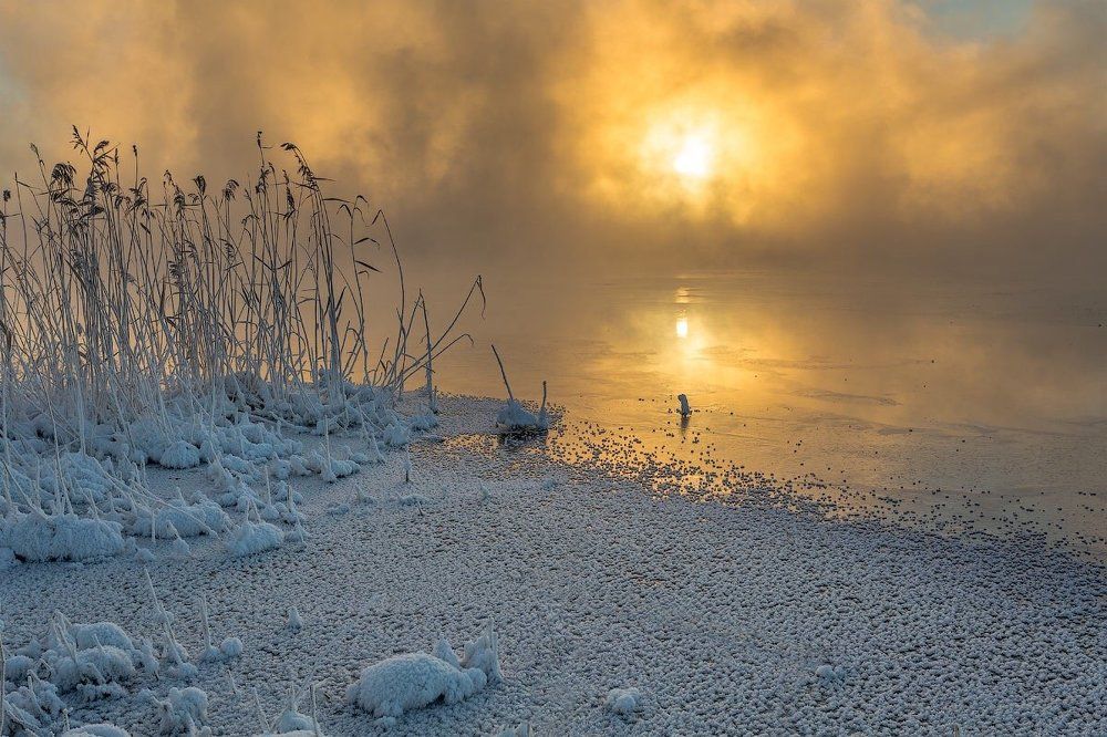 Золотое безмолвие