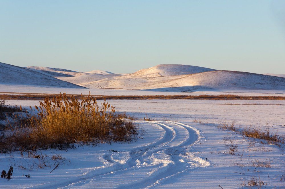 Зимнее утро