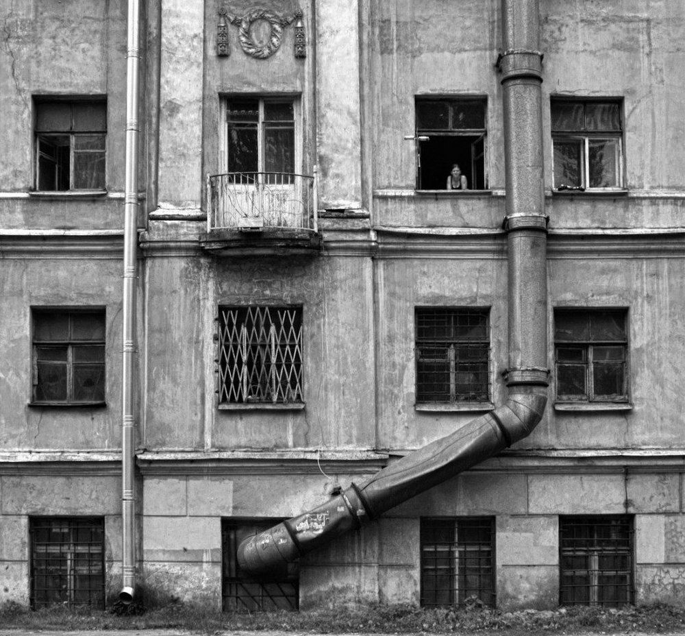 Жизненные ритмы