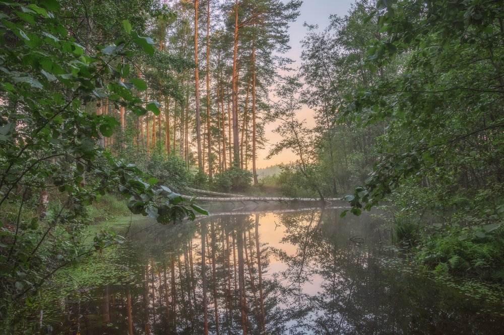 Прохлада глубокого озера