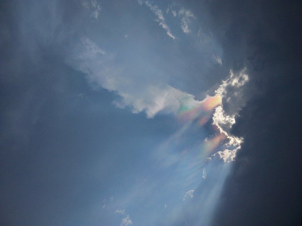 Photo #1635270