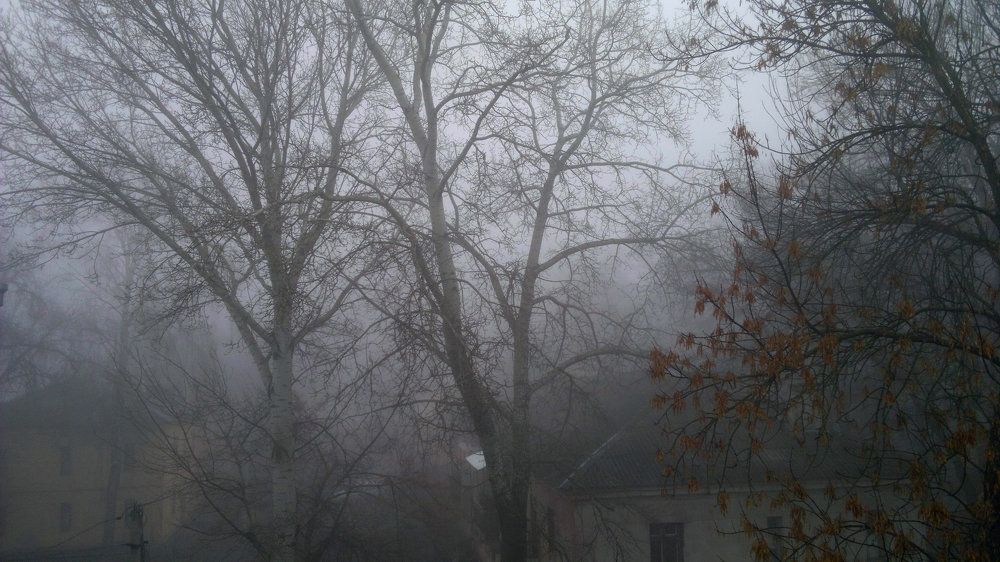 Photograph by Андрей