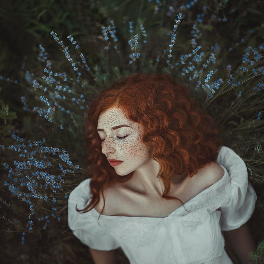 Сон из лаванды