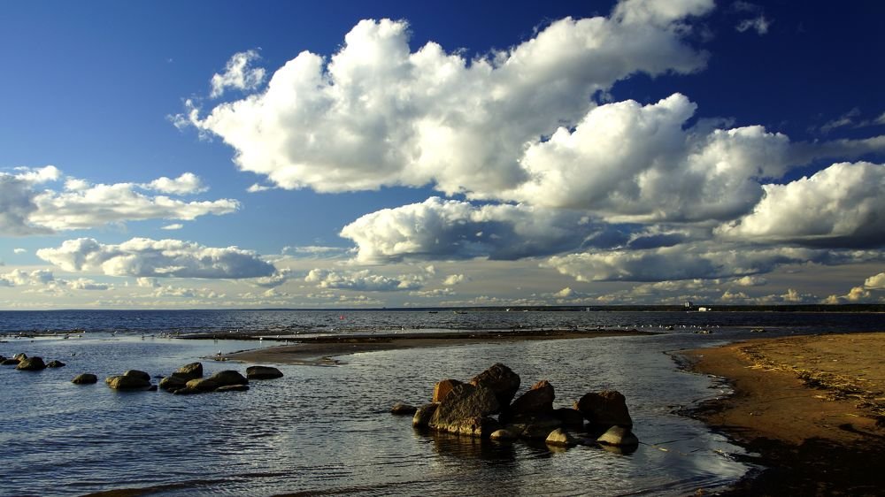 Финский залив в районе Сестрорецка