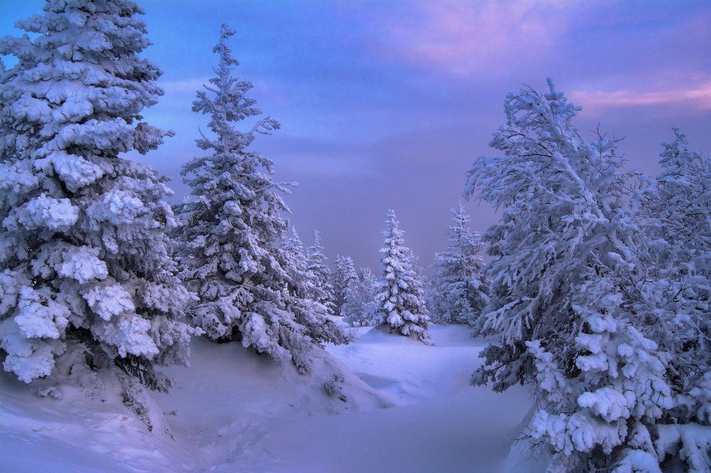 «Зимняя сказка Южного Урала»