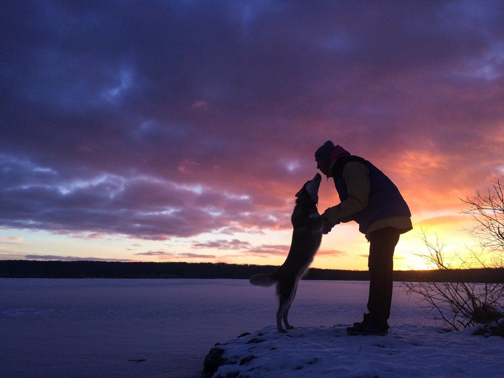 Это любовь!