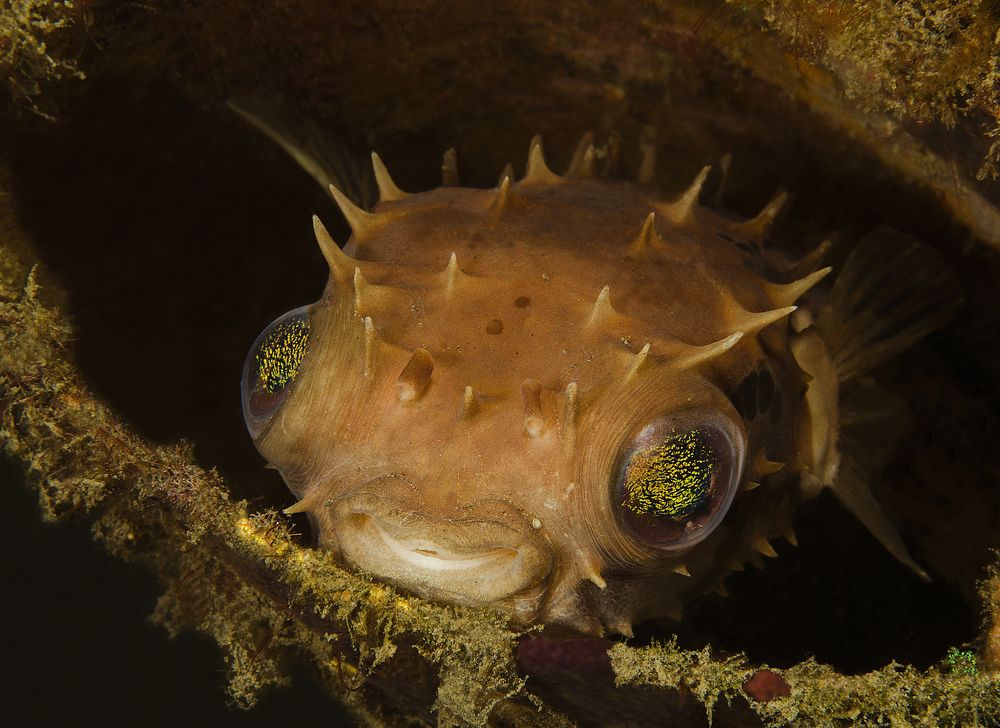 Грустное настроение