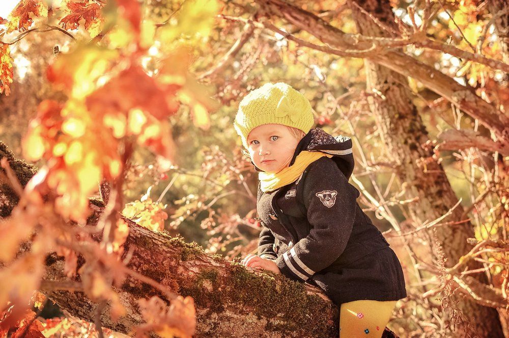 Осень для Алёнки