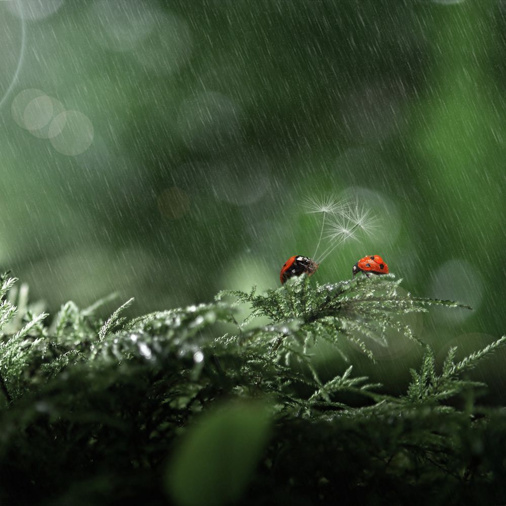 Фотография автора Рублёв Дмитрий