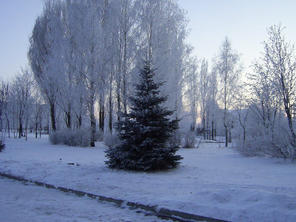 Photograph by Наталья