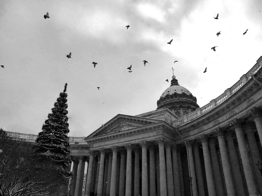 Я люблю. Потревоженные птицы...